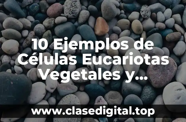 10 Ejemplos de Células Eucariotas Vegetales y Animales