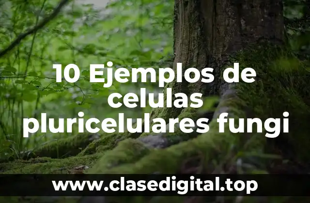 10 Ejemplos de celulas pluricelulares fungi