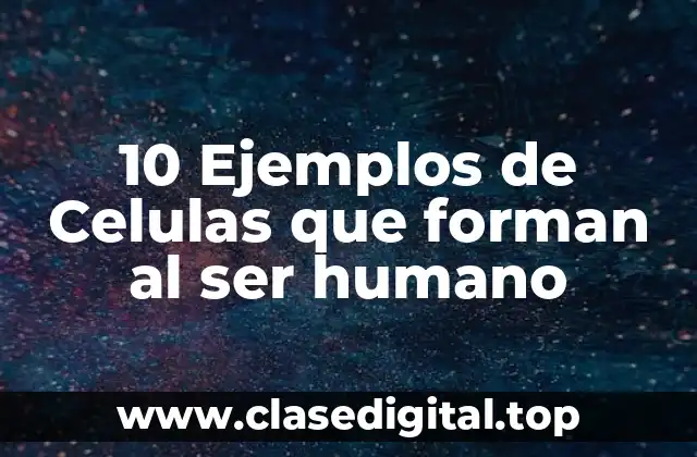 10 Ejemplos de Celulas que forman al ser humano