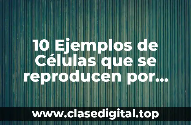 10 Ejemplos de Células que se reproducen por millosis