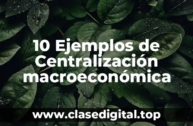 10 Ejemplos de Centralización macroeconómica