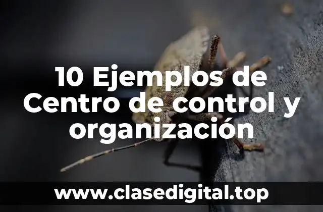 10 Ejemplos de Centro de control y organización