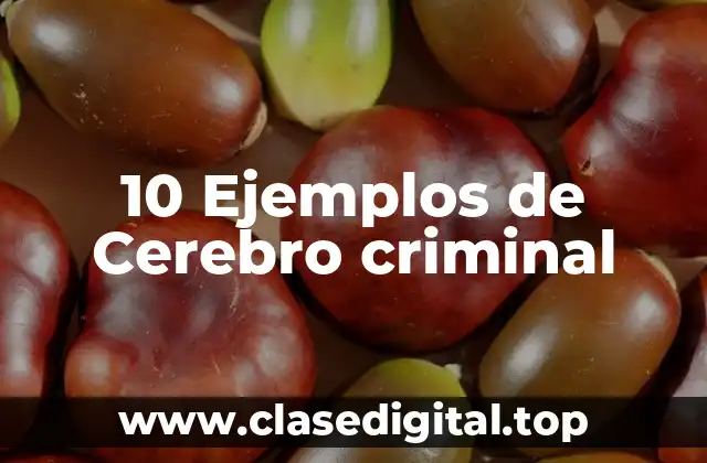 10 Ejemplos de Cerebro criminal