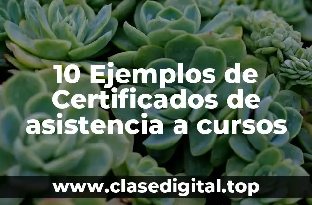 10 Ejemplos de Certificados de asistencia a cursos