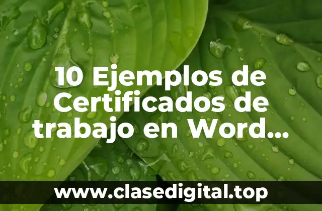 10 Ejemplos de Certificados de trabajo en Word, Definición, Diferencias y para que sirve