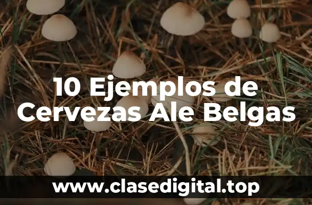 10 Ejemplos de Cervezas Ale Belgas