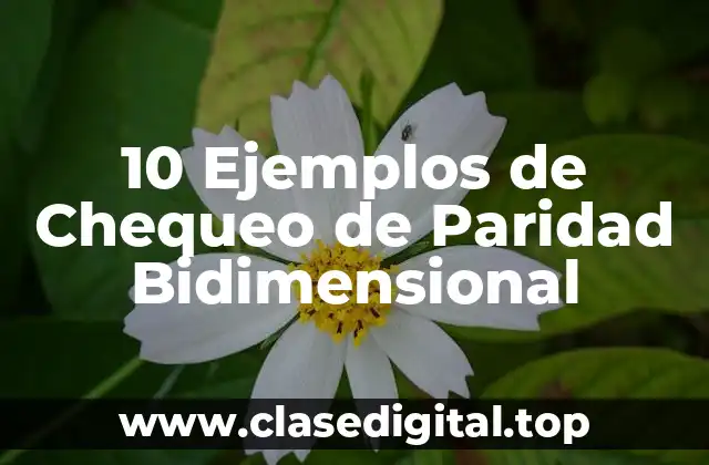 10 Ejemplos de Chequeo de Paridad Bidimensional