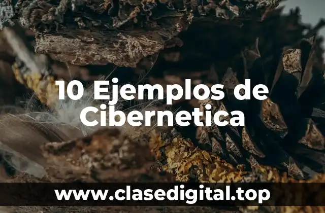 10 Ejemplos de Cibernetica