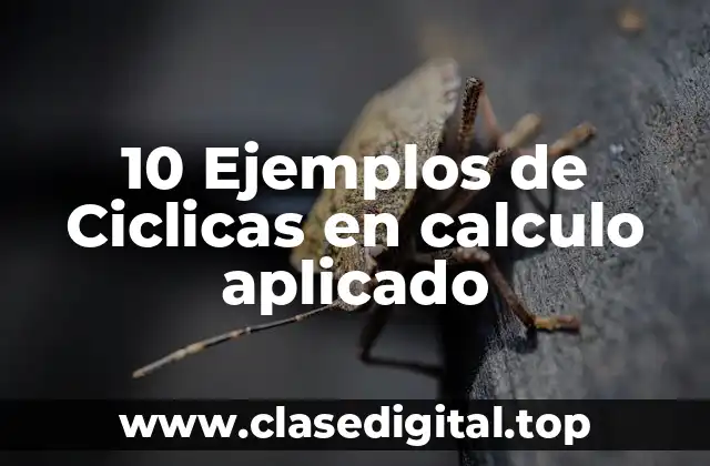 10 Ejemplos de Ciclicas en calculo aplicado