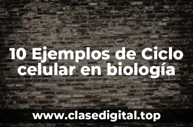 10 Ejemplos de Ciclo celular en biología