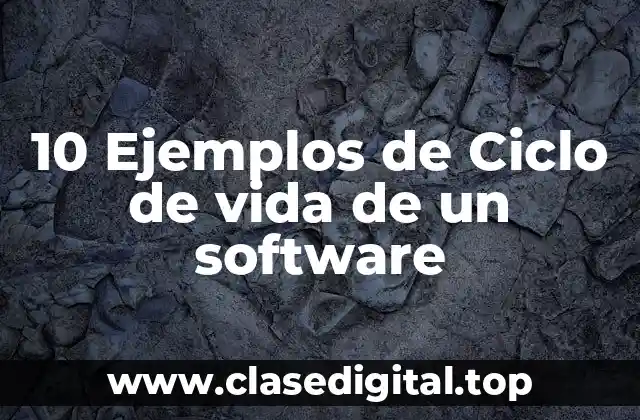 10 Ejemplos de Ciclo de vida de un software