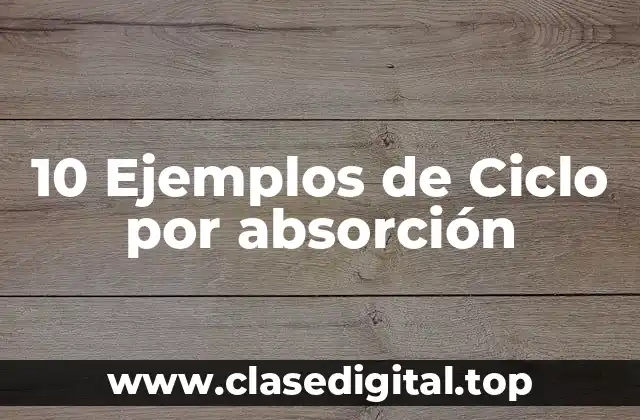 10 Ejemplos de Ciclo por absorción