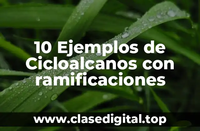 10 Ejemplos de Cicloalcanos con ramificaciones