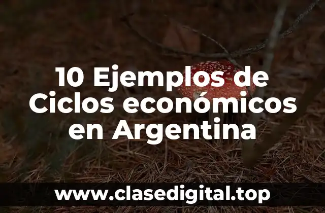 10 Ejemplos de Ciclos económicos en Argentina