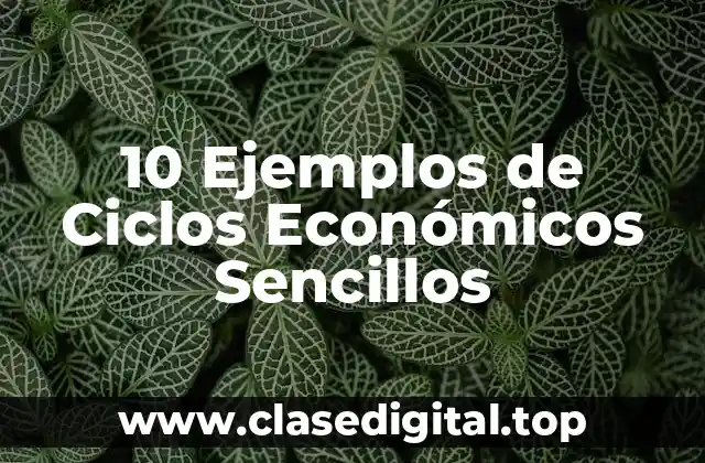 10 Ejemplos de Ciclos Económicos Sencillos