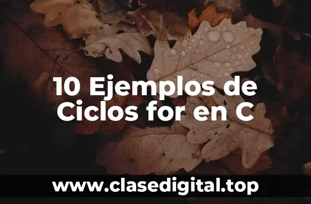 10 Ejemplos de Ciclos for en C
