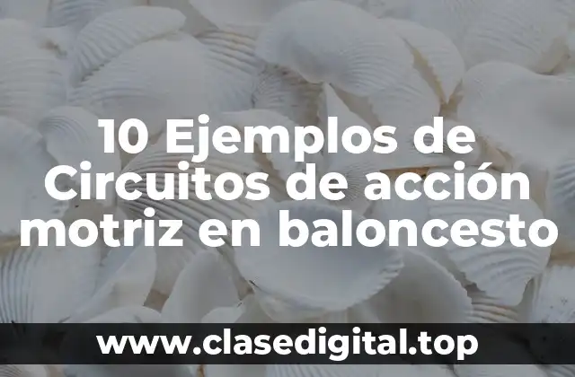 10 Ejemplos de Circuitos de acción motriz en baloncesto