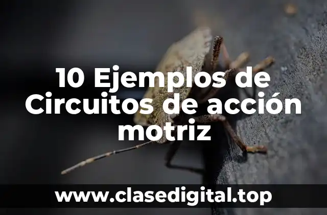 10 Ejemplos de Circuitos de acción motriz