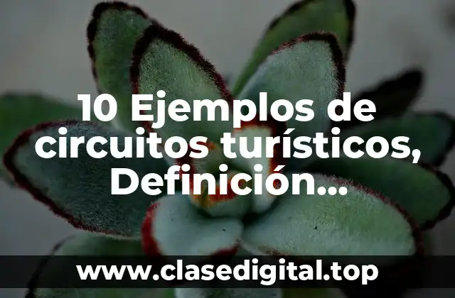 10 Ejemplos de circuitos turísticos, Definición, Diferencias y para que sirve