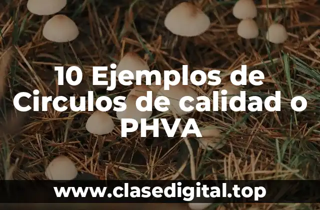 10 Ejemplos de Circulos de calidad o PHVA