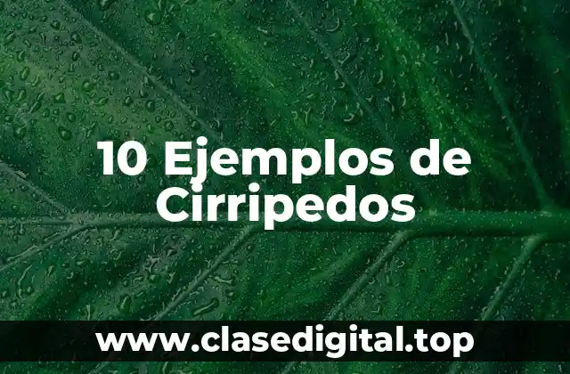 10 Ejemplos de Cirripedos