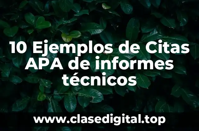 10 Ejemplos de Citas APA de informes técnicos