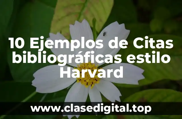 10 Ejemplos de Citas bibliográficas estilo Harvard