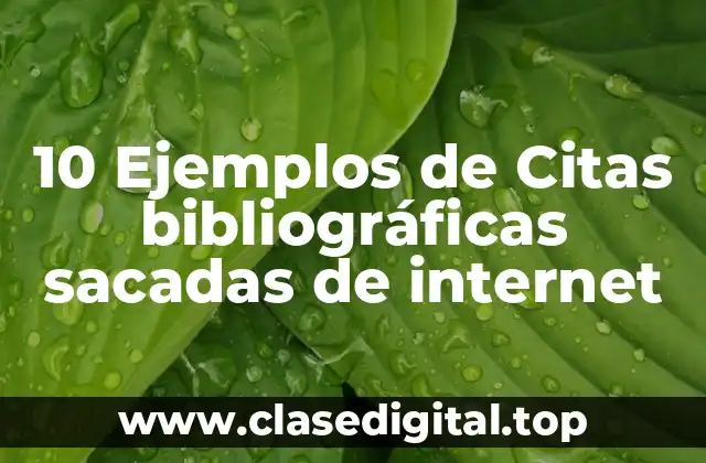 10 Ejemplos de Citas bibliográficas sacadas de internet