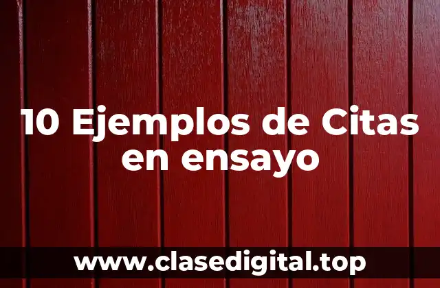 10 Ejemplos de Citas en ensayo