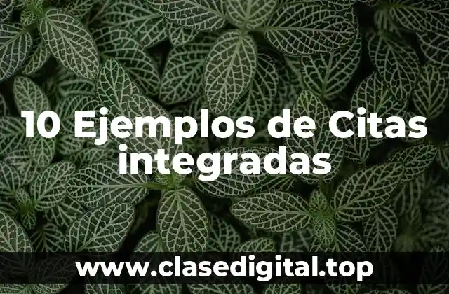 10 Ejemplos de Citas integradas