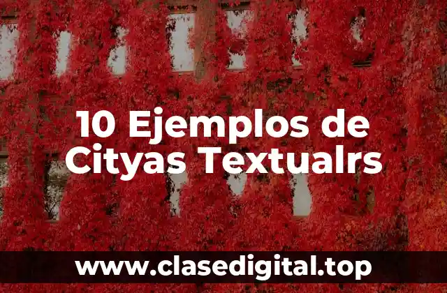 10 Ejemplos de Cityas Textualrs