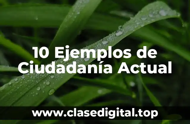 10 Ejemplos de Ciudadanía Actual
