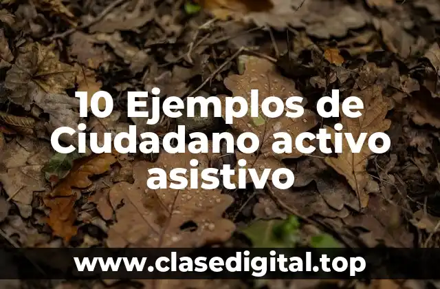 10 Ejemplos de Ciudadano activo asistivo