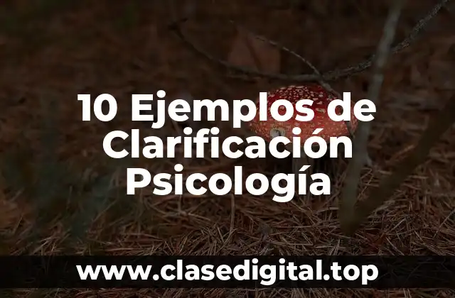 10 Ejemplos de Clarificación Psicología