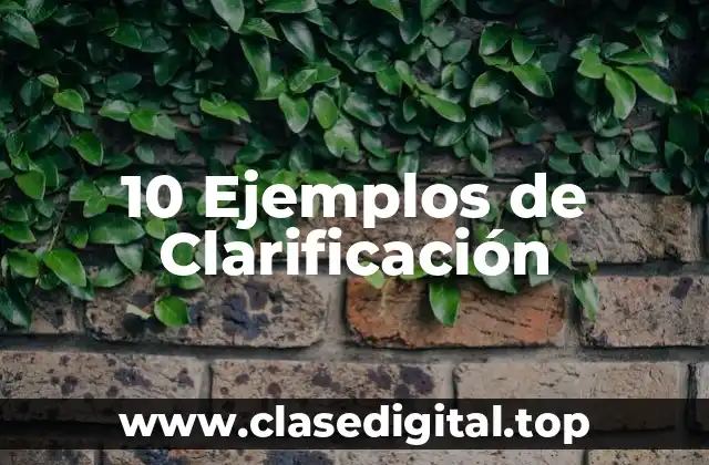 10 Ejemplos de Clarificación
