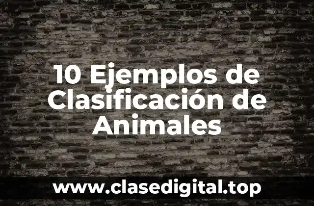10 Ejemplos de Clasificación de Animales