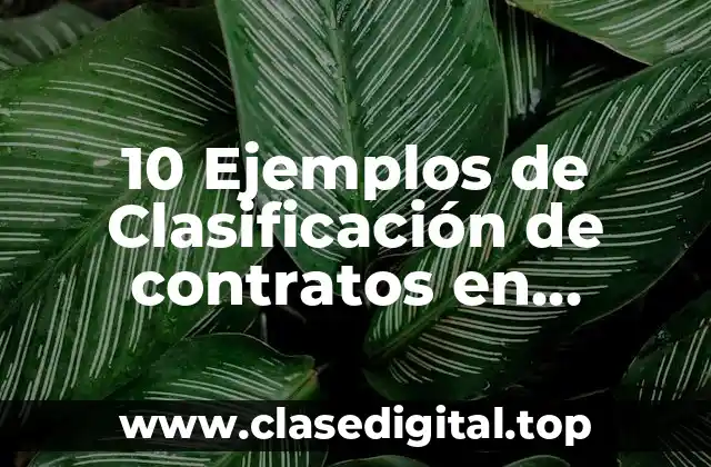 10 Ejemplos de Clasificación de contratos en derecho civil