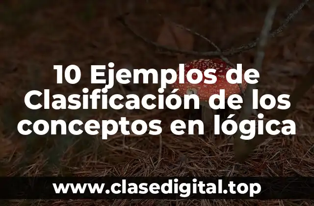 10 Ejemplos de Clasificación de los conceptos en lógica