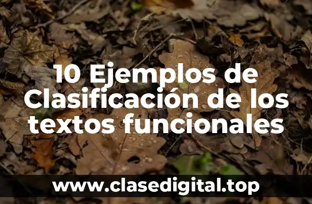 10 Ejemplos de Clasificación de los textos funcionales