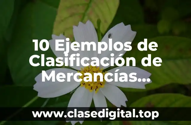 10 Ejemplos de Clasificación de Mercancías Peligrosas
