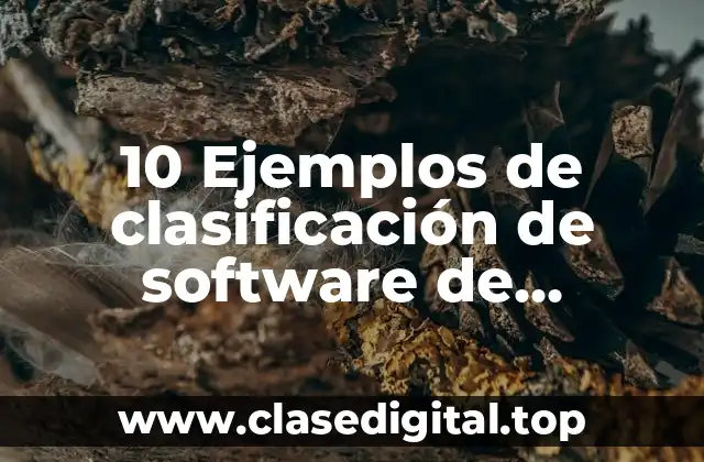 10 Ejemplos de clasificación de software de programación