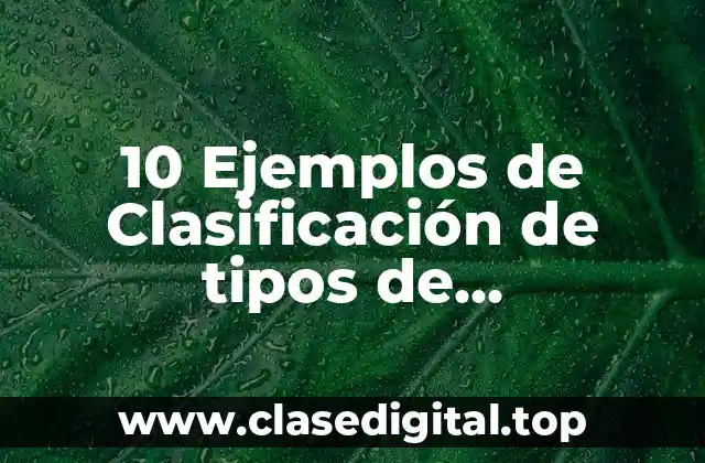 10 Ejemplos de Clasificación de tipos de conocimiento de producto