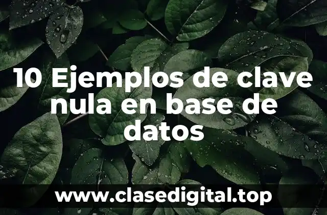 10 Ejemplos de clave nula en base de datos