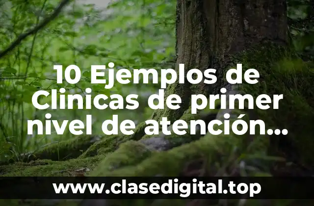10 Ejemplos de Clinicas de primer nivel de atención médica