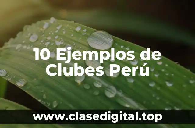10 Ejemplos de Clubes Perú