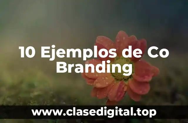 10 Ejemplos de Co Branding