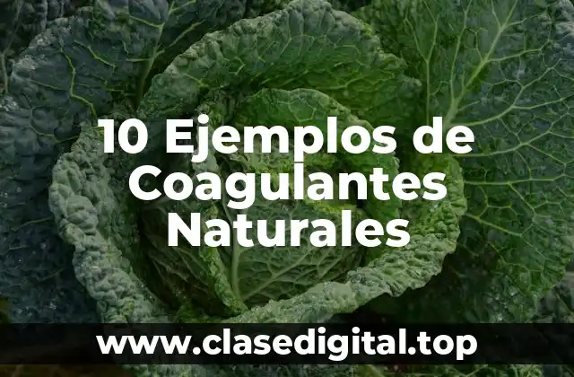 10 Ejemplos de Coagulantes Naturales