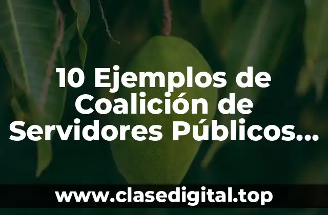 10 Ejemplos de Coalición de Servidores Públicos en México