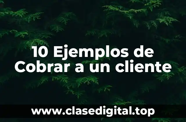 10 Ejemplos de Cobrar a un cliente