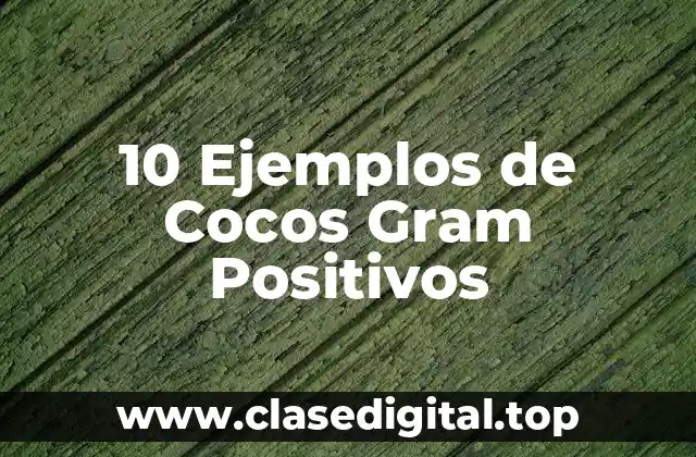 10 Ejemplos de Cocos Gram Positivos